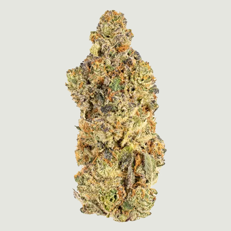 Buckyeye – calgary cheap weed – calgary bud delivery – calgary cannabis delivery – cannabis products yyc